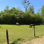 La Cote Du Muret * Fagnon