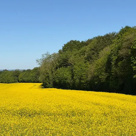 Vakantiehuis La Cote Du Muret *