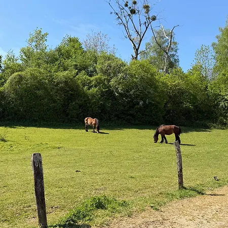 La Cote Du Muret * Fagnon